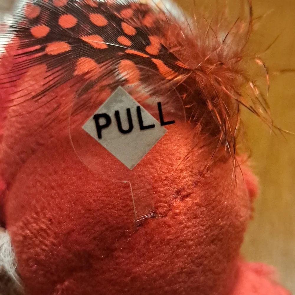 Cat Chirping Bird / BUNDLE ONLY